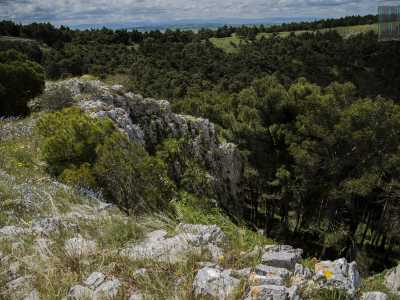 Il panorama dall�alto � notevole, con le roccia bianca e nuda che abbraccia il verde intenso dei monumentali alberi